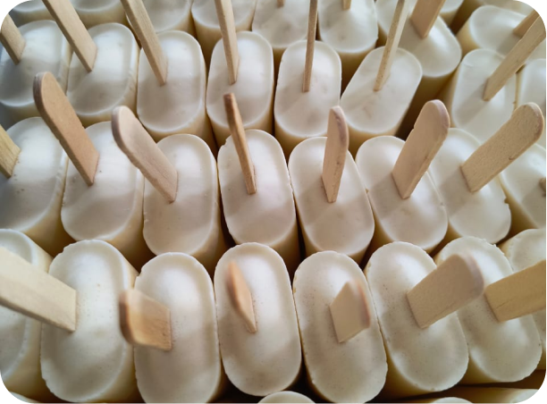 WhatsApp Image 2023-11-28 at 15.14.47 (1) 3 (2)