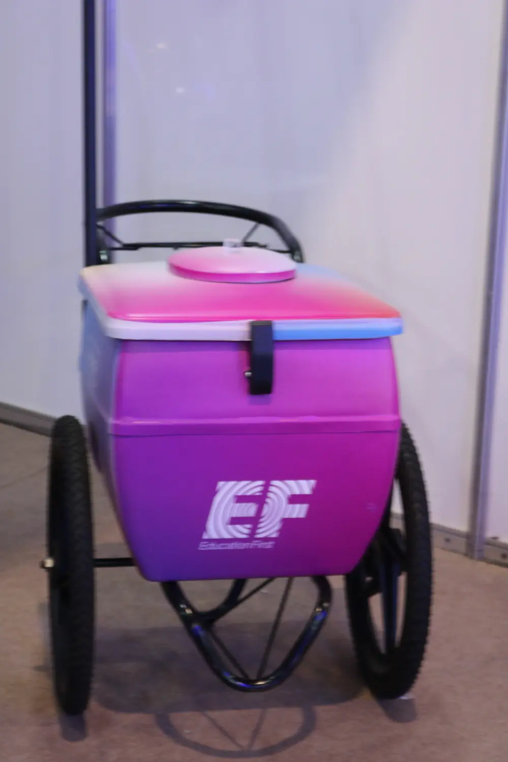 ef-intercambio-2